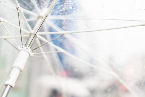 雨粒がついたビニール傘の骨組み