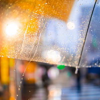 雨粒が滴るビニール傘と街明かりの写真