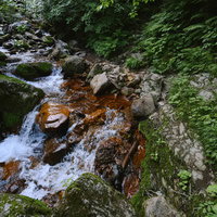 日本百名山・斜里岳の一の沢川沿いの登山道の写真