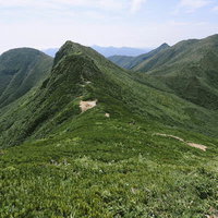日本百名山の斜里岳、緑の稜線を歩く登山道の写真