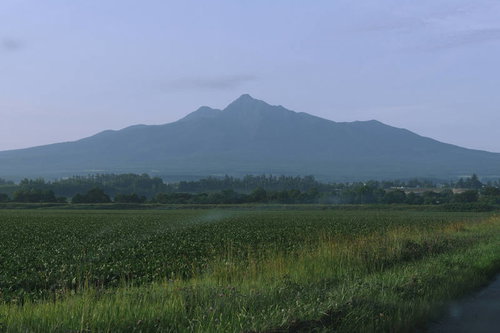 斜里市外から見る日本百名山・斜里岳と緑の畑