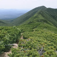 熊見峠から斜里岳への緑豊かな登山道を歩むハイカーたちの写真