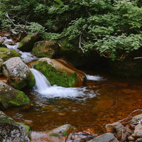 真っ赤な川底の斜里岳の渓流と沢の苔むした岩場の流れの写真