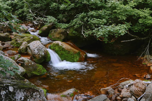 真っ赤な川底の斜里岳の渓流と沢の苔むした岩場の流れ
