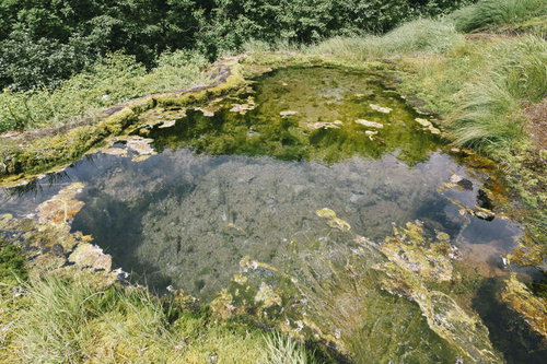 日本百名山・斜里岳の龍神の池｜湧水が満つ苔むした岩場の秘境