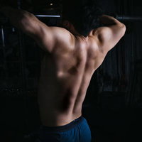 バーベルを持ち上げる現役経営者の逆三角形の背中の写真