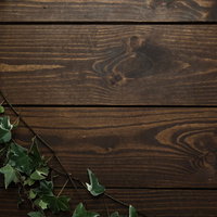濃い茶色の木目テーブルに緑のツタが這う観葉植物の写真