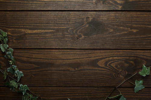 テロップを入れやすい木目テーブルに這うツタ