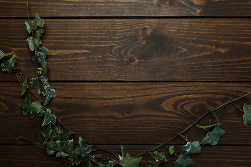 ダークブラウンの木目テーブルに伸びる蔦の葉