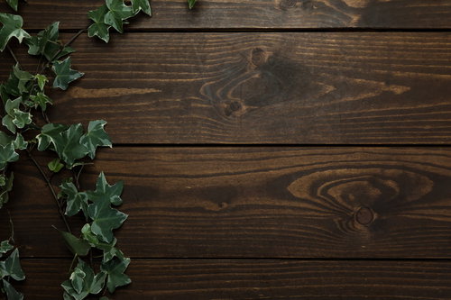 木目調のテーブルに伸びる緑の蔦のテクスチャー