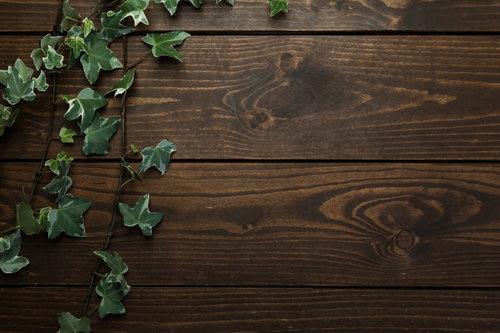 木目のテーブル上に置かれた緑の蔦の葉と白いコピースペース
