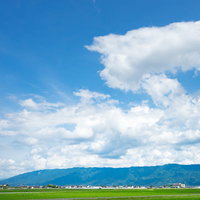 広大で豊かな農地が広がる筑後平野の青空と畑（大刀洗町）の写真