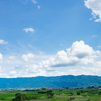 大刀洗産の皮付きとうもろこし2本の写真