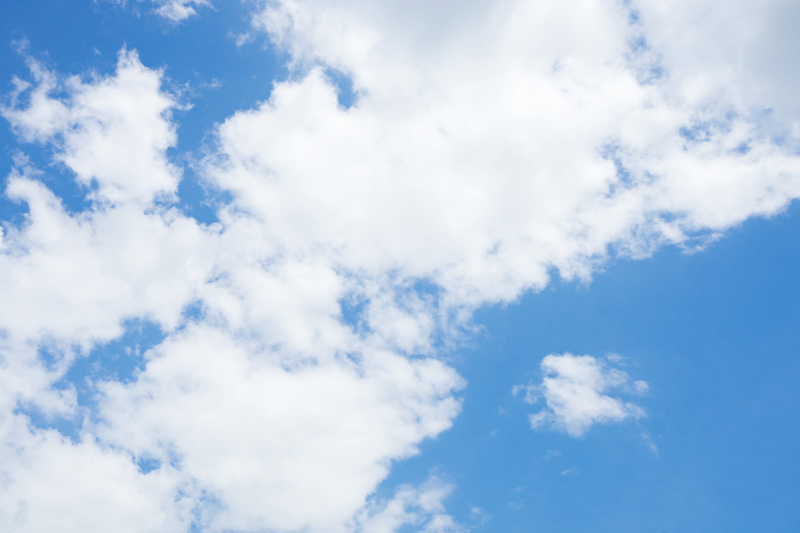 夏の青空に広がる積雲