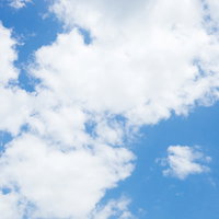 夏の青空に積雲が広がる晴れの空の写真