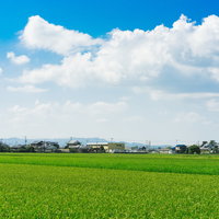 大刀洗町の田舎に広がる夏の青空の写真