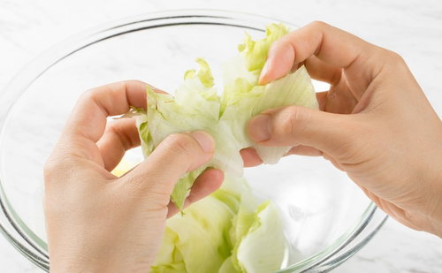 透明なボールに入れたレタスを両手で千切る