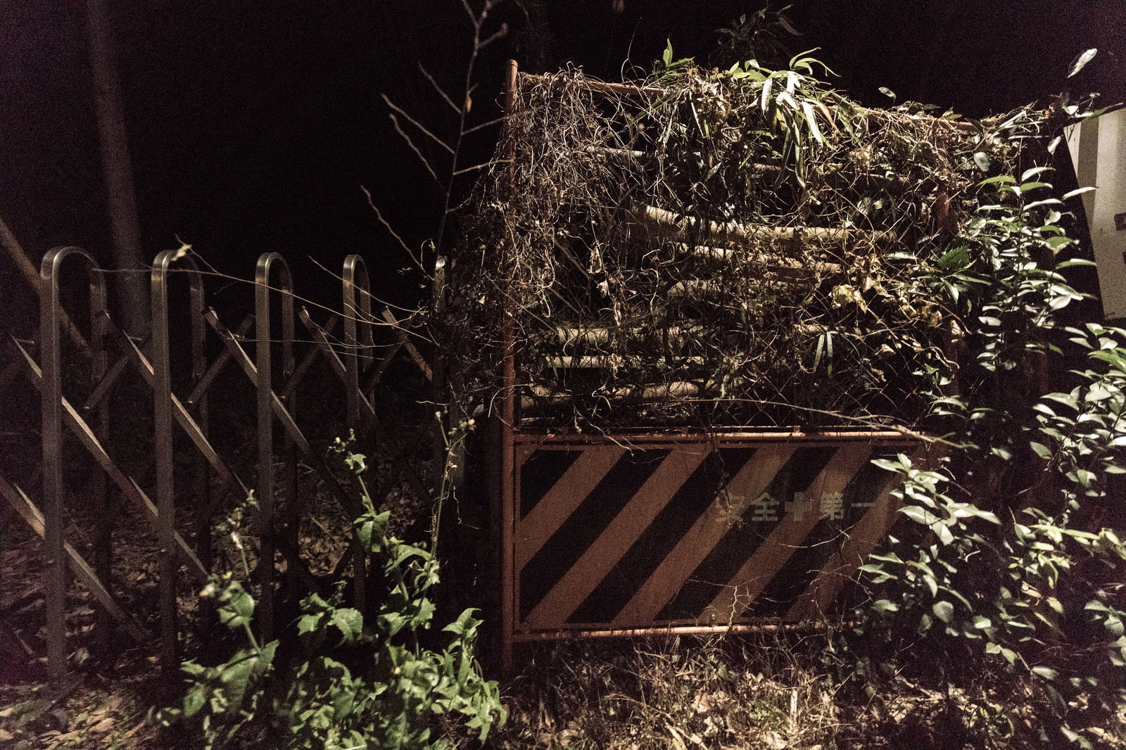 夜の屋外で植物が絡まった黄黒縞の構造物