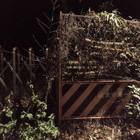 奥地の立入禁止エリアに積み重なる廃材と木材の山の写真