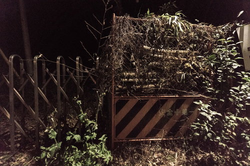 奥地の立入禁止エリアに積み重なる廃材と木材の山