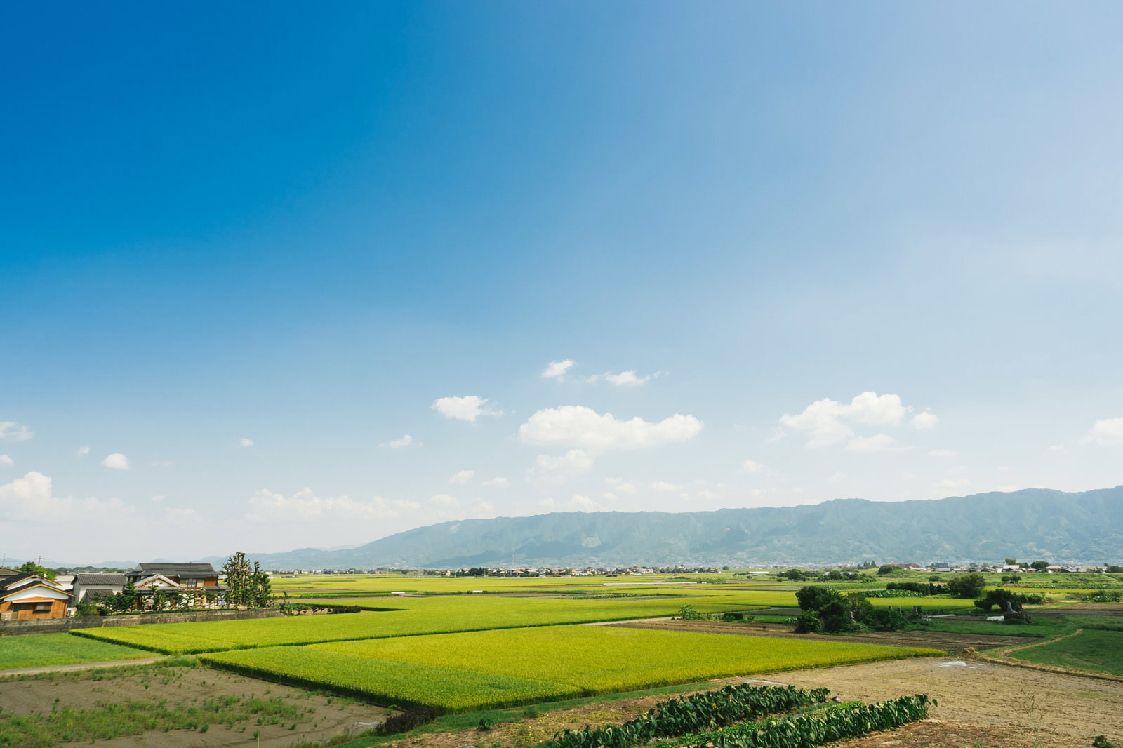 大刀洗の河川敷と青空が広がる田園風景