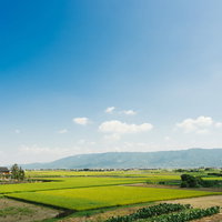 大刀洗（筑後平野）の田園風景の写真