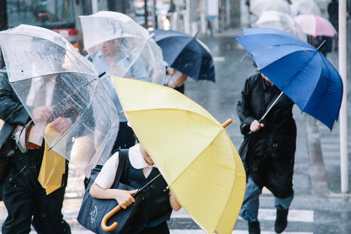 傘を斜めにするくらい横なぐりの大雨が降る街路