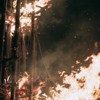 夜間の森で炎が激しく燃え上がる松明あかしの火祭りの写真