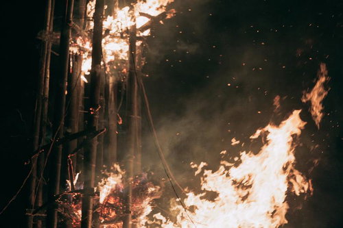 夜間の森で炎が激しく燃え上がる松明あかしの火祭り