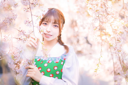 春爛漫の桜並木で微笑む着物女子～満開の桜と和の美しさ