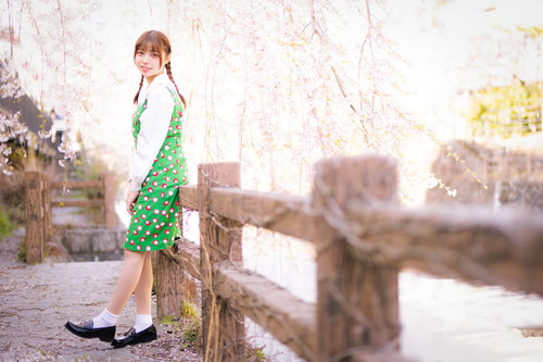 彼女と桜並木での花見散歩