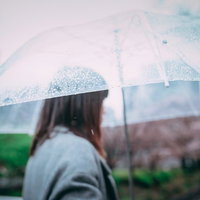 ビニール傘に付く雨粒と雨女の梅雨風景の写真