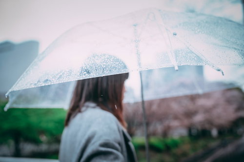 ビニール傘に付く雨粒と雨女の梅雨風景