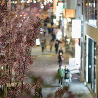 はなきんの繁華街の街並み 夜間の歩道と人混みの都市風景の写真