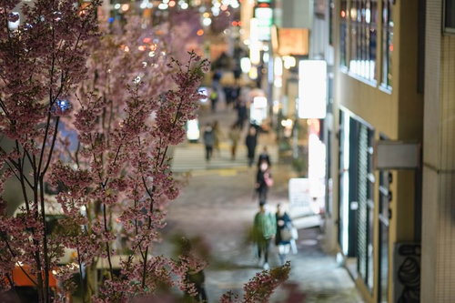 はなきんの繁華街の街並み 夜間の歩道と人混みの都市風景