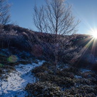 赤城山小沼の雪道に差し込む夜明けの朝日と冬景色の写真