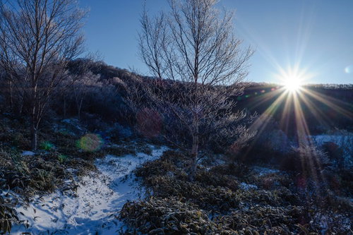 赤城山小沼の雪道に差し込む夜明けの朝日と冬景色