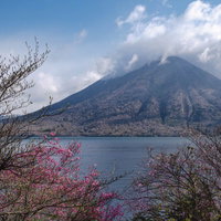 日光中禅寺湖の湖畔に咲くツツジと雲がかかる男体山の写真
