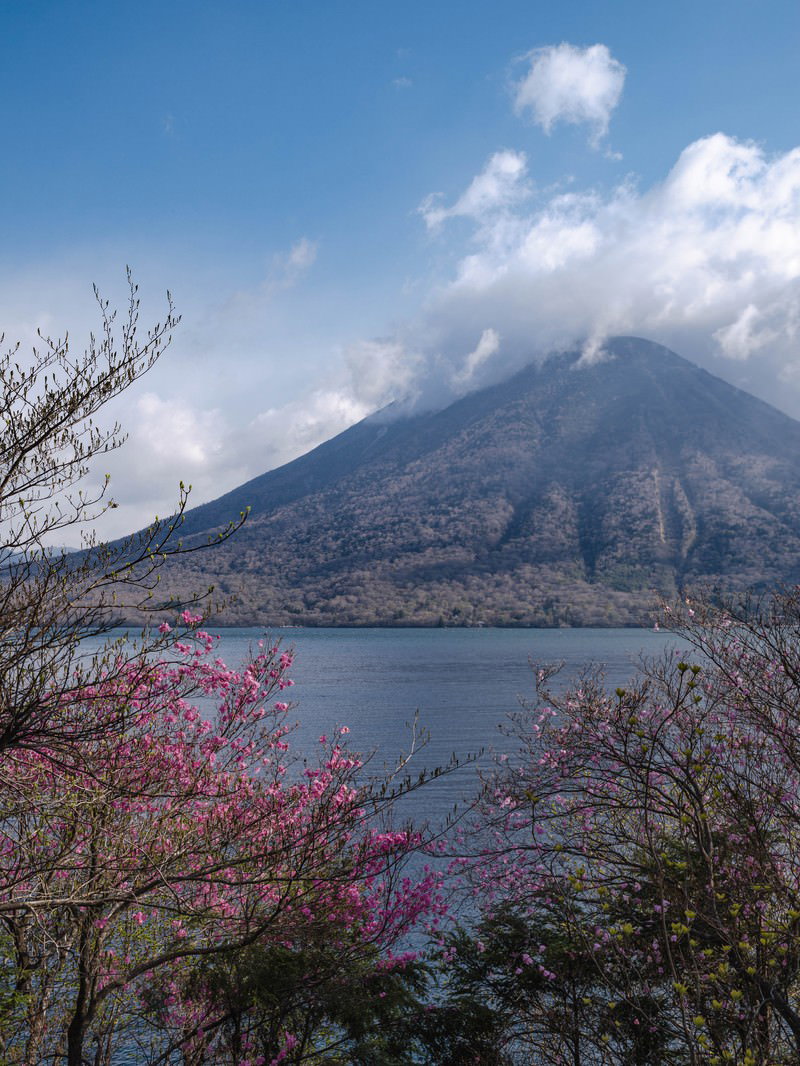 日光中禅寺湖の湖畔に咲くピンクのツツジと雲がかかった男体山の風景