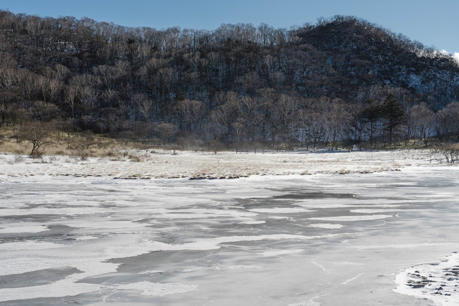 雪に覆われた赤城山覚満淵の湿原と雪山の風景