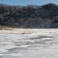 赤城山覚満淵の雪原に吹く風と氷結の景色の写真