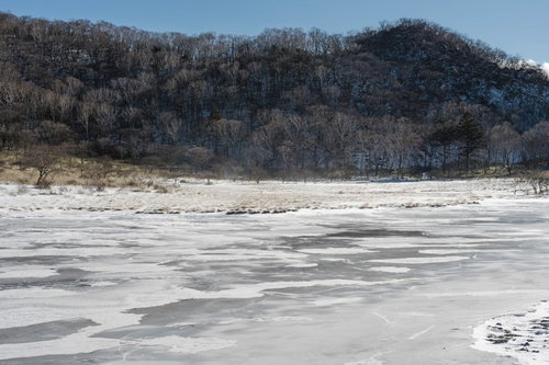 赤城山覚満淵の雪原に吹く風と氷結の景色
