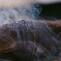 スモーク調理されたエゾシカの燻製 BBQアウトドア料理の写真