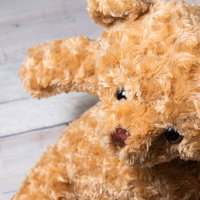 テディベア頭上からの視点 木目床に横たわるぬいぐるみの質感の写真