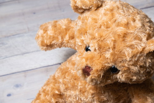 テディベア頭上からの視点 木目床に横たわるぬいぐるみの質感