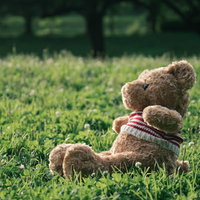 野原に一人座るくまのぬいぐるみの写真