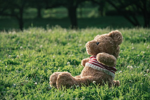 野原に一人座るくまのぬいぐるみ
