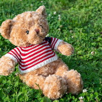 悩みを聞くくまさんのぬいぐるみの写真