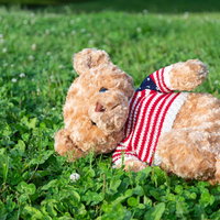 野原で寝そべる陽気なくまのぬいぐるみ。赤白ストライプの枕付きの写真