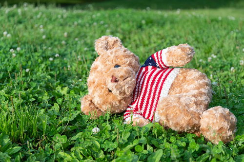 野原で寝そべる陽気なくまのぬいぐるみ。赤白ストライプの枕付き